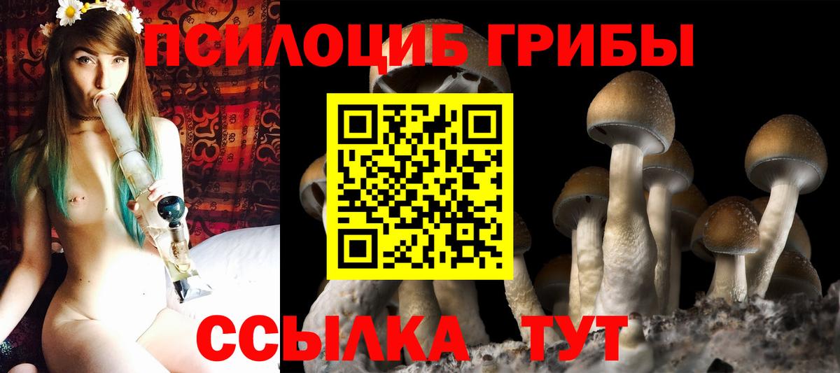 Хасавюрт  Псилоцибиновые грибы мухоморы  Вход с VPN 