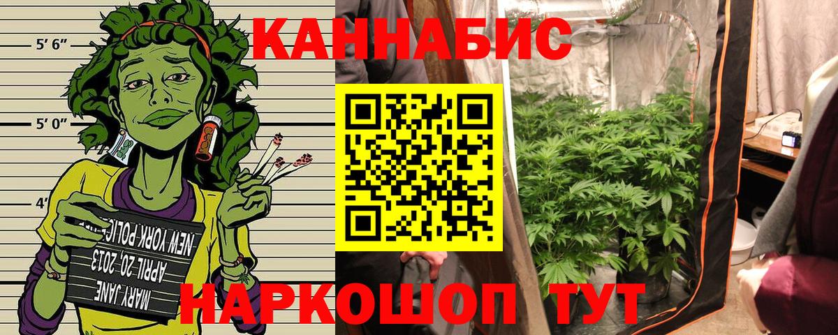 Канабис OG Kush Хасавюрт